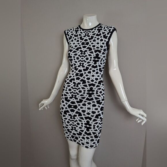 Torn by Ronny Kobo Bodycon Dress – XS – Geometric Knit – Zip Back - Picture 1 of 9